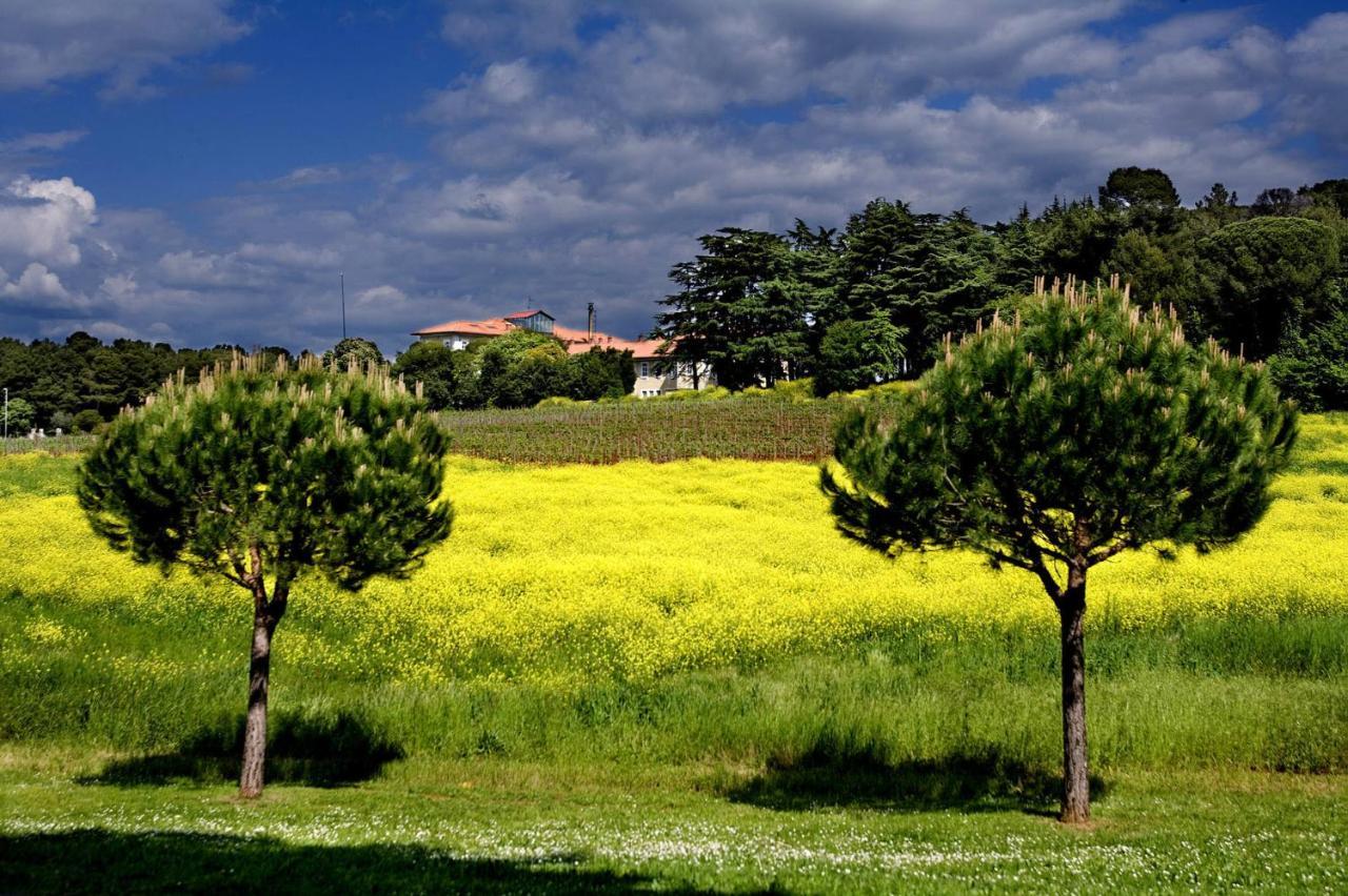 Residence Agata Nova Vas (Porec) מראה חיצוני תמונה